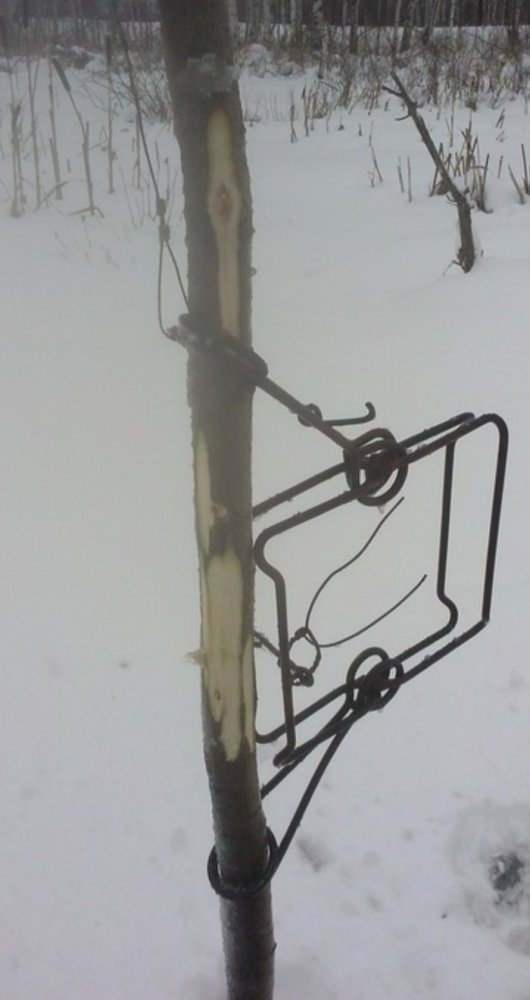 Screenshot_20201121_211139.jpg