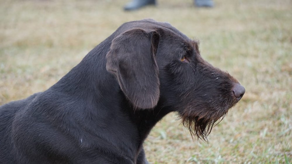 PHOTO-2020-09-16-21-20-31 (1).jpg