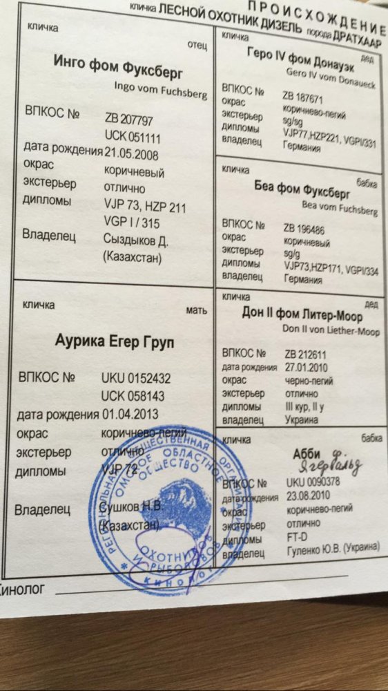 PHOTO-2020-09-16-21-20-59 (1).jpg