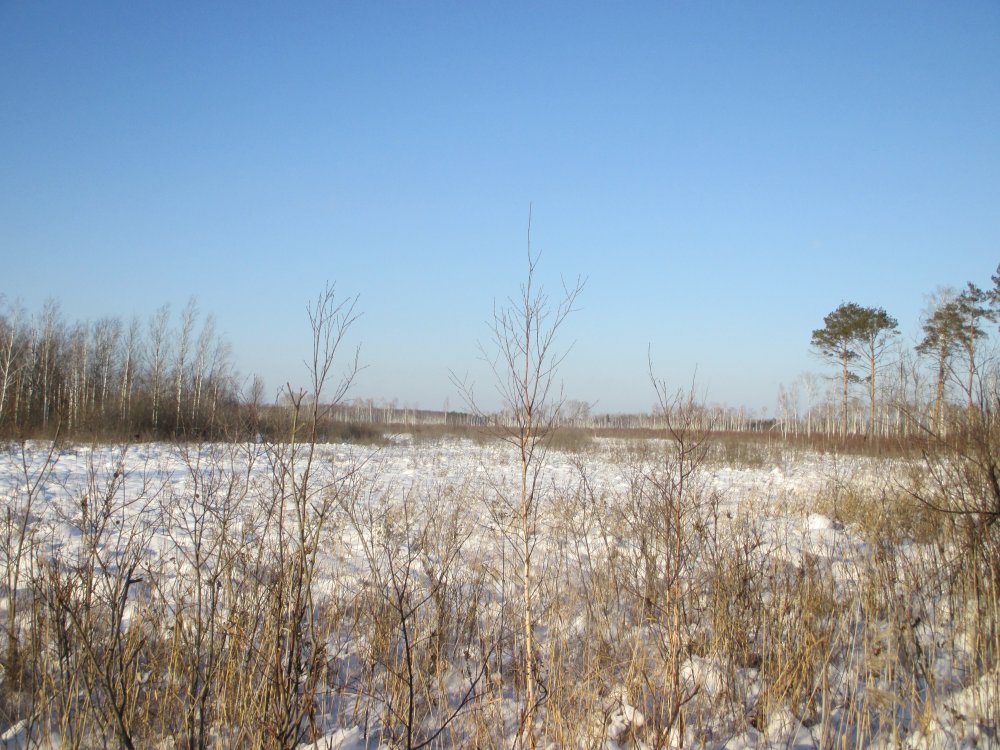 IMG_4755.JPG