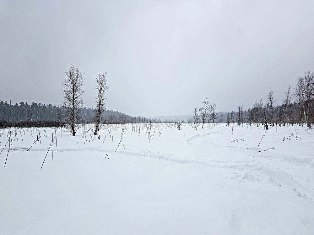 20210208_222814.jpg