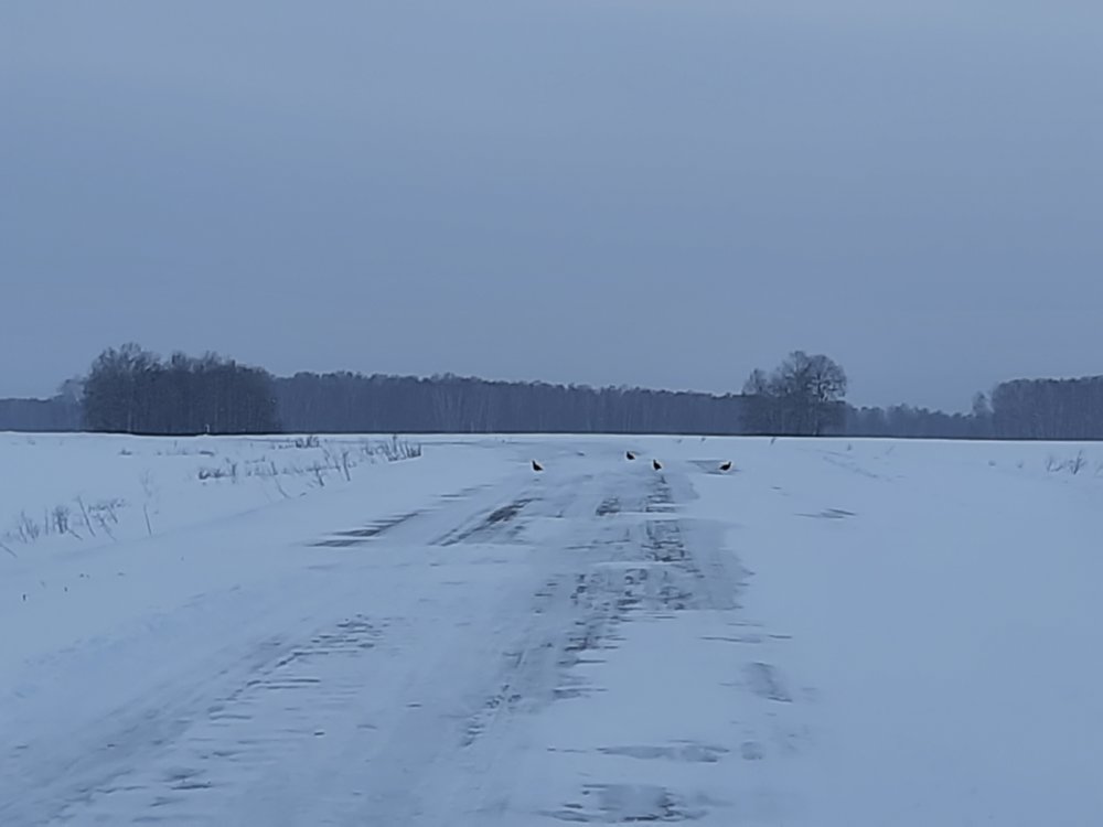 20210214_151259.jpg