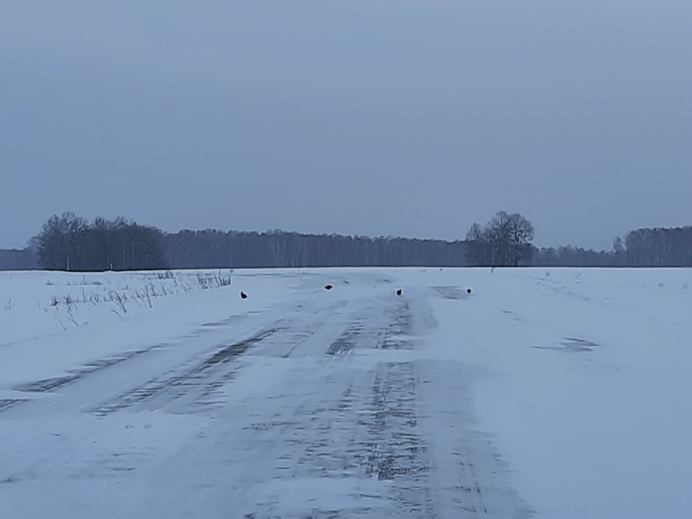 20210214_151320.jpg