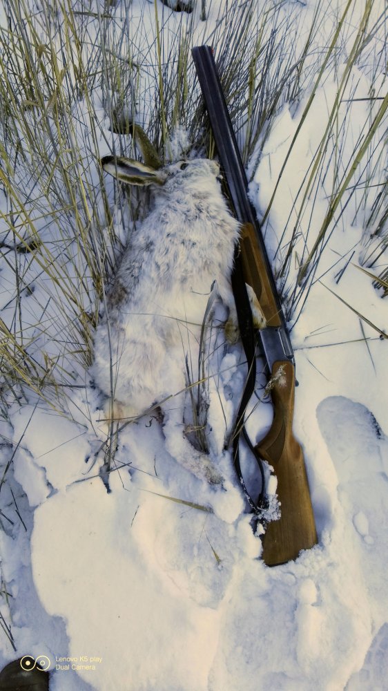 IMG_20201228_124102.jpg