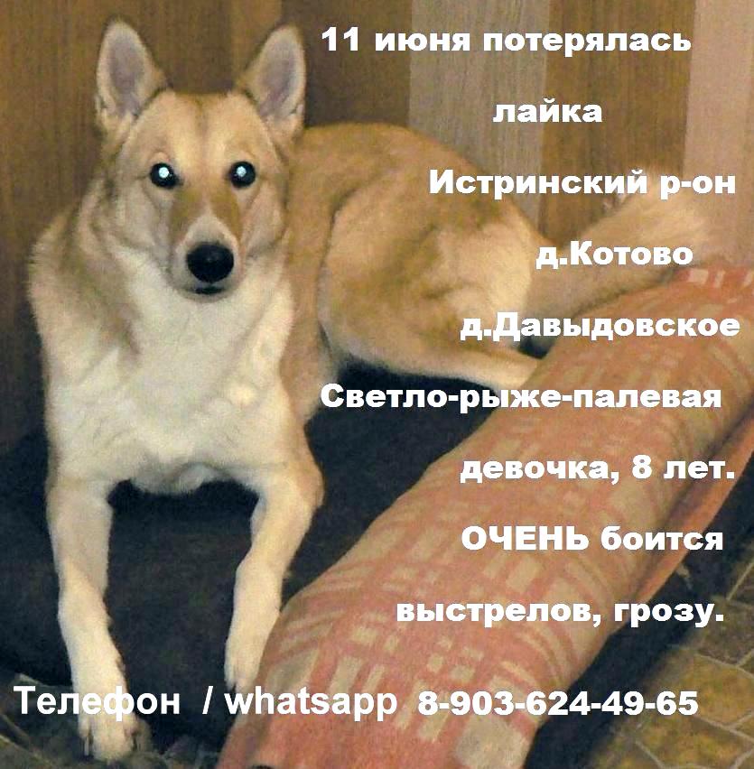 00 лача 13 февраля (4).jpg