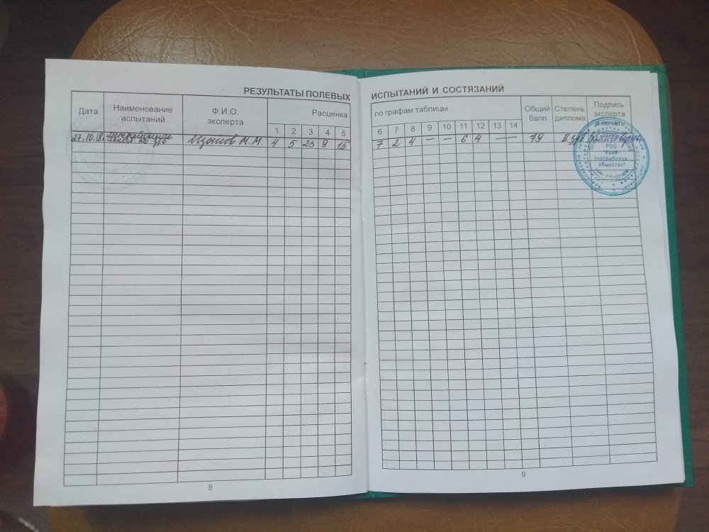 Расценка диплом 2ст РГ  Зажиги.jpg