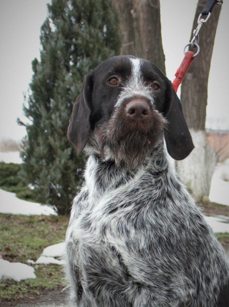 Новое изображение2.JPG