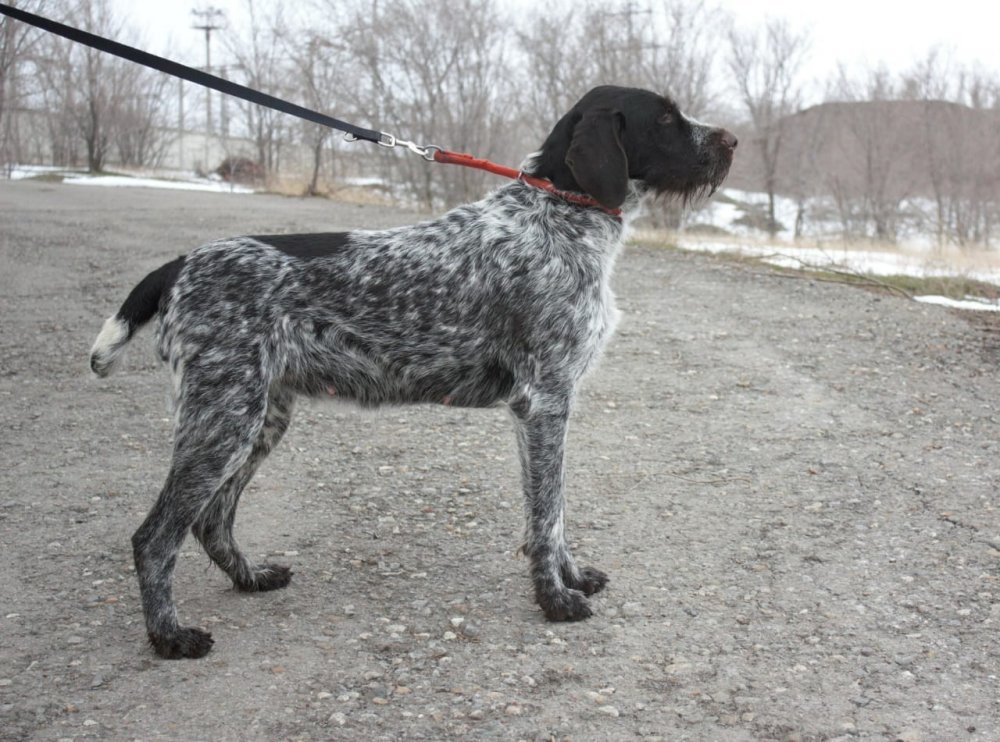 Новое изображение.JPG