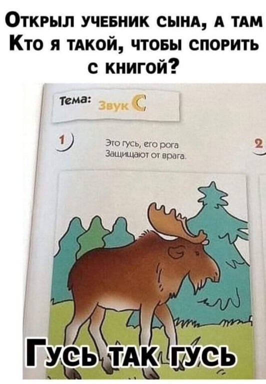 i.jpg