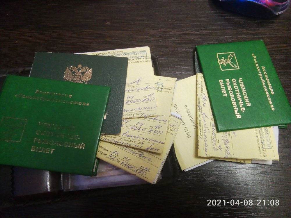 P10408-210805.jpg