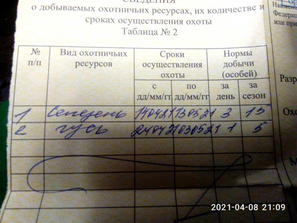 P10408-210919.jpg