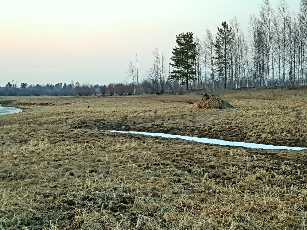 20210425_225929.jpg