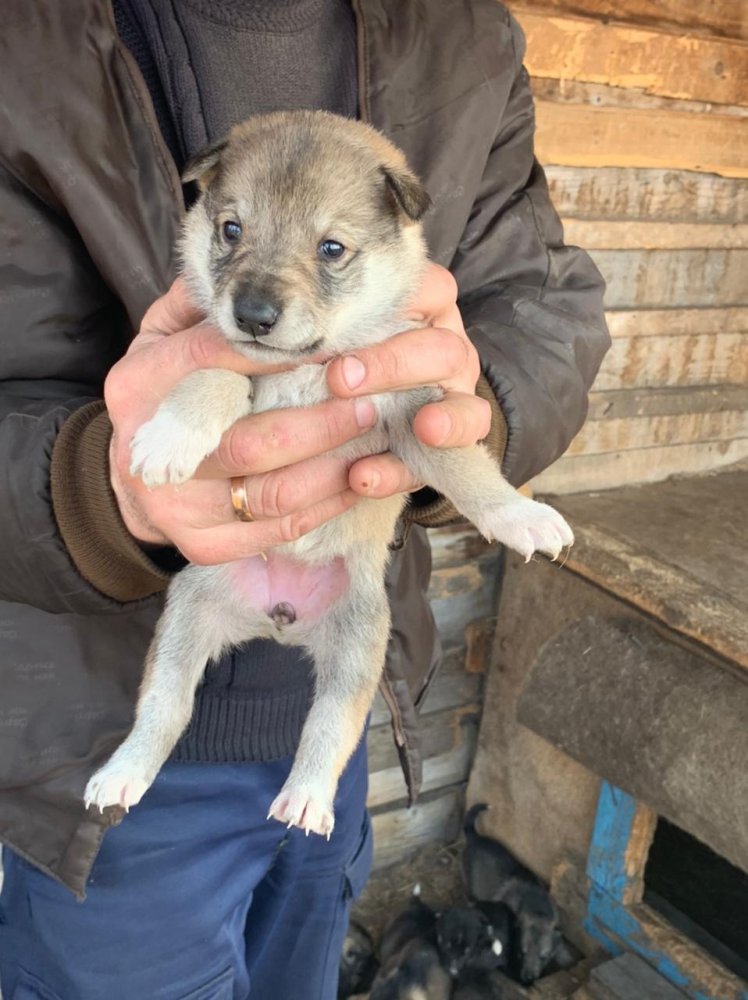 WhatsApp Image 2021-04-27 at 07.24.34 (2).jpeg