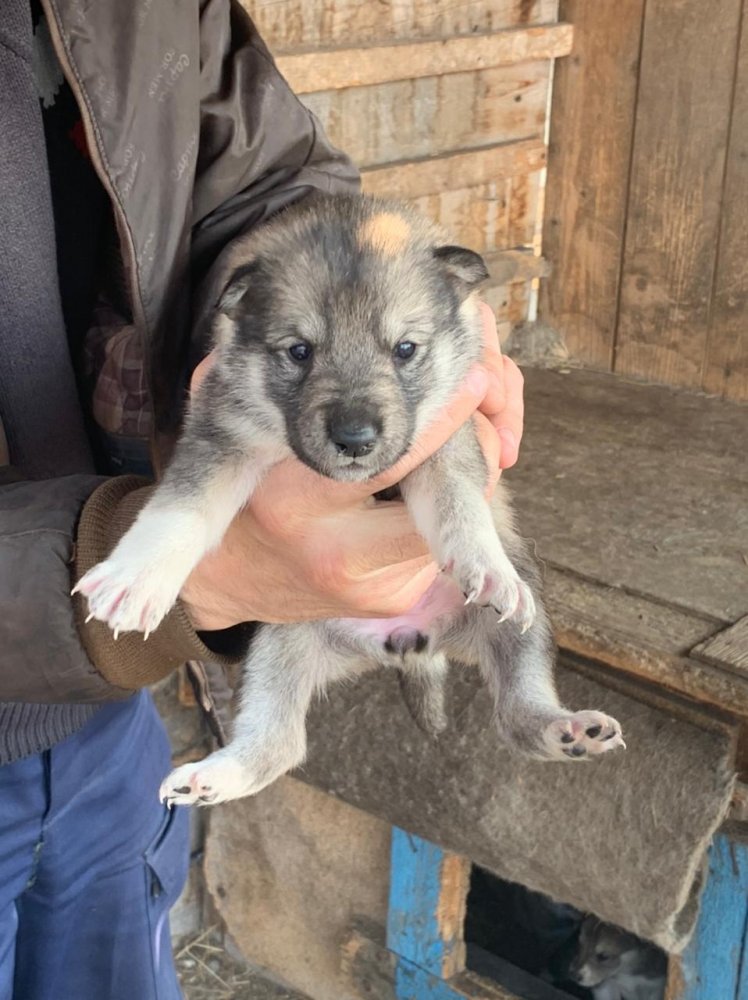 WhatsApp Image 2021-04-27 at 07.24.33.jpeg