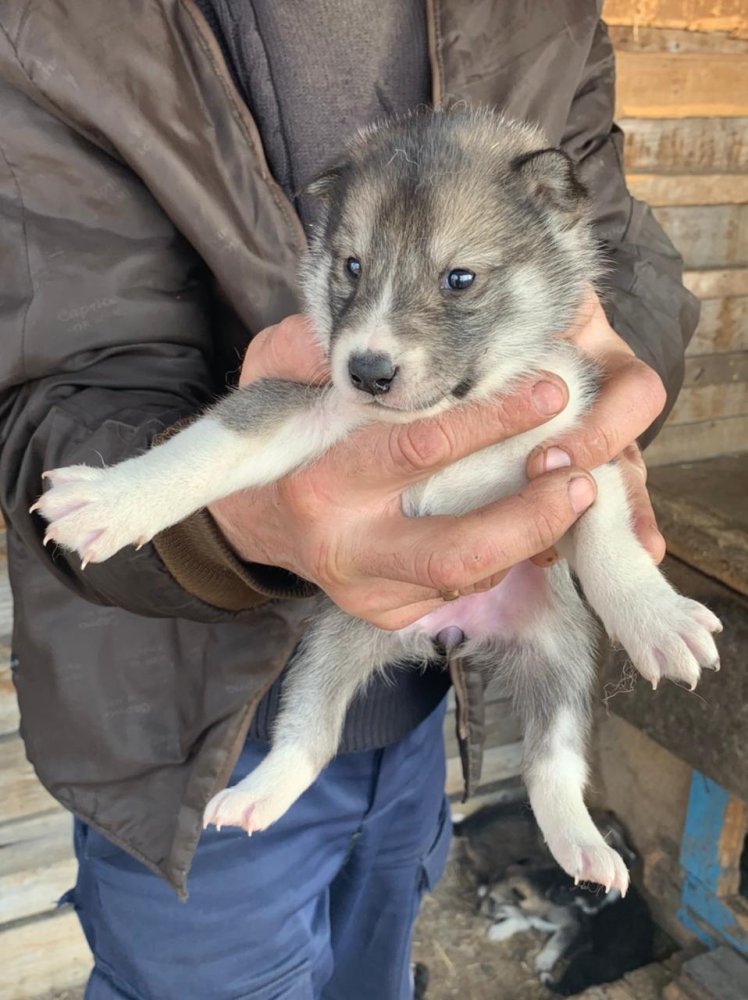 WhatsApp Image 2021-04-27 at 07.24.34 (1).jpeg