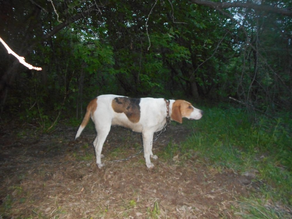 DSCN2269.JPG