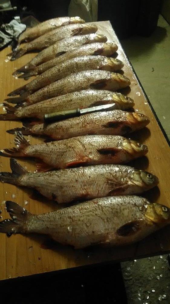 P_20210527_123024.jpg