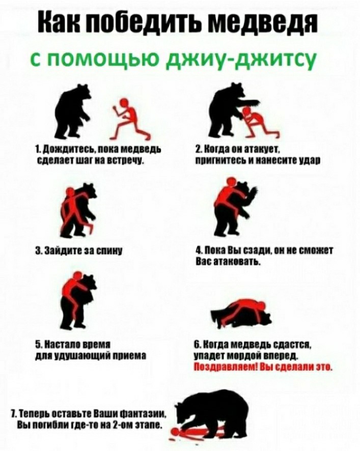 медв..jpg