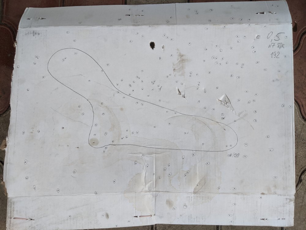 2021-08-08 18-53-07.JPG