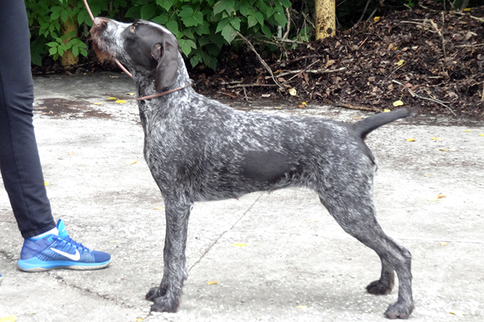 несси Сибирцев927.JPG