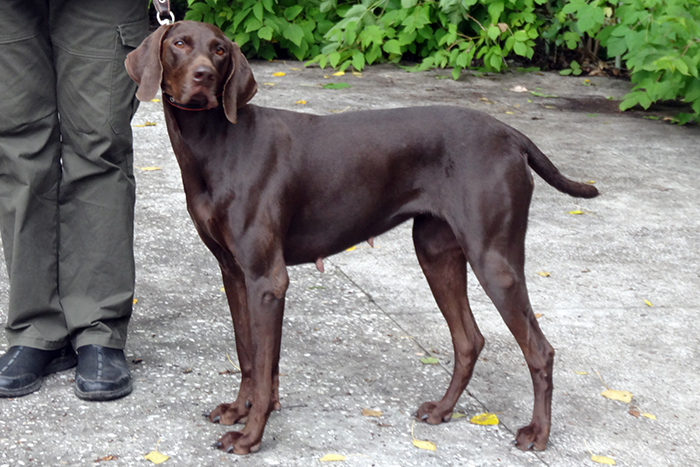 леда филатов1911.JPG