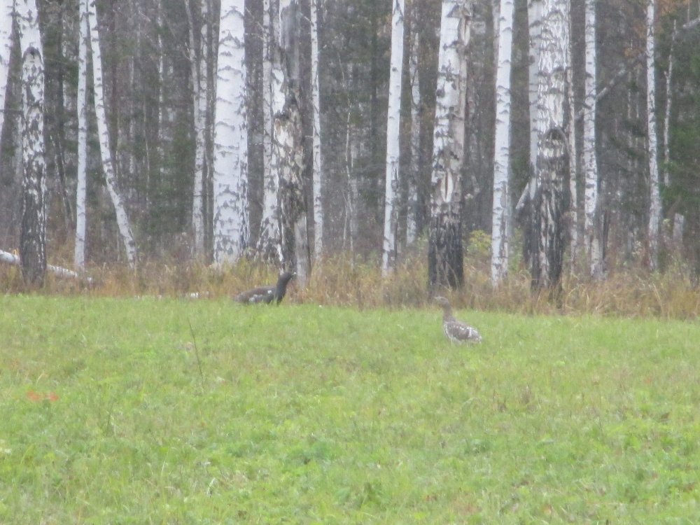 IMG_5060.JPG