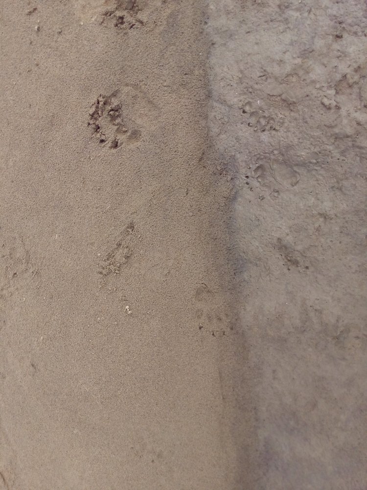 P_20190811_143859.jpg