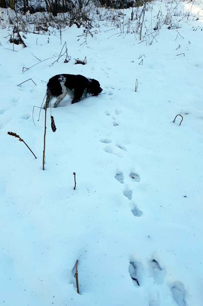 WhatsApp Image 2021-11-12 at 21.35.36.png