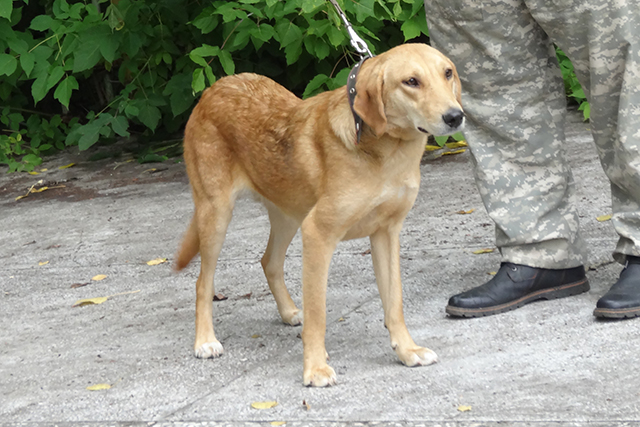 Тора Форченков1983.JPG