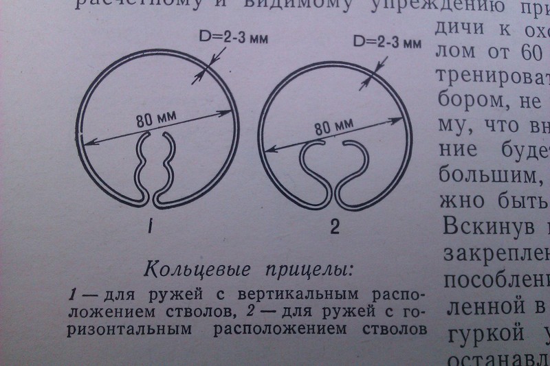 6101696.jpg