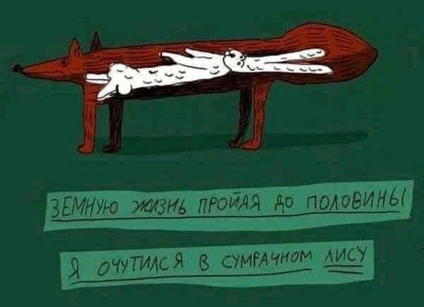 16328117.jpg