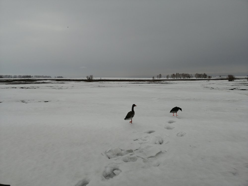 IMG_20210407_124608.jpg