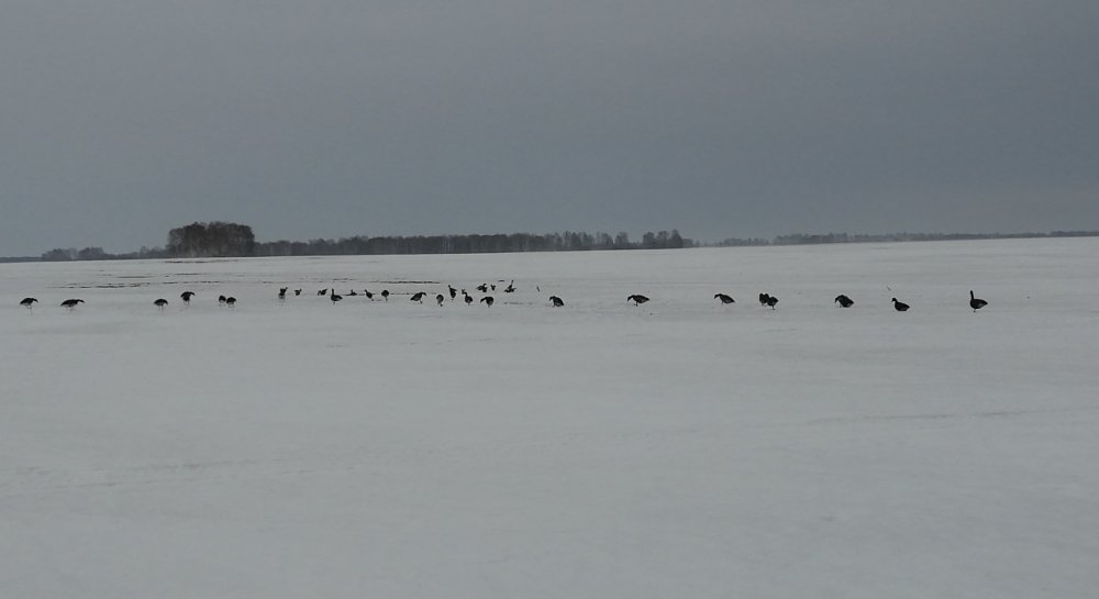 IMG_20220208_124236.jpg