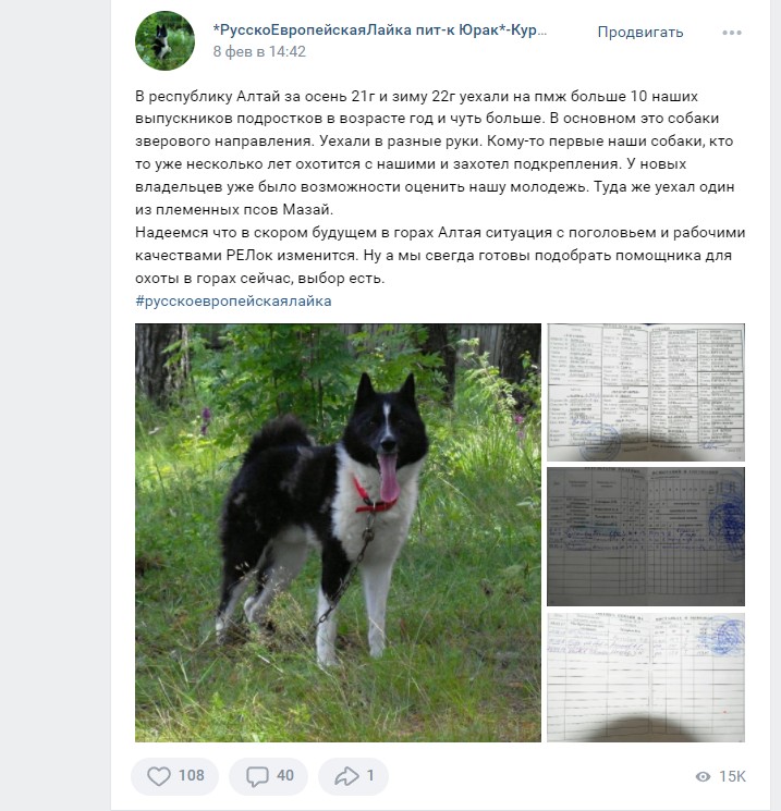 Скриншот 13-02-2022 11_11_50.jpg