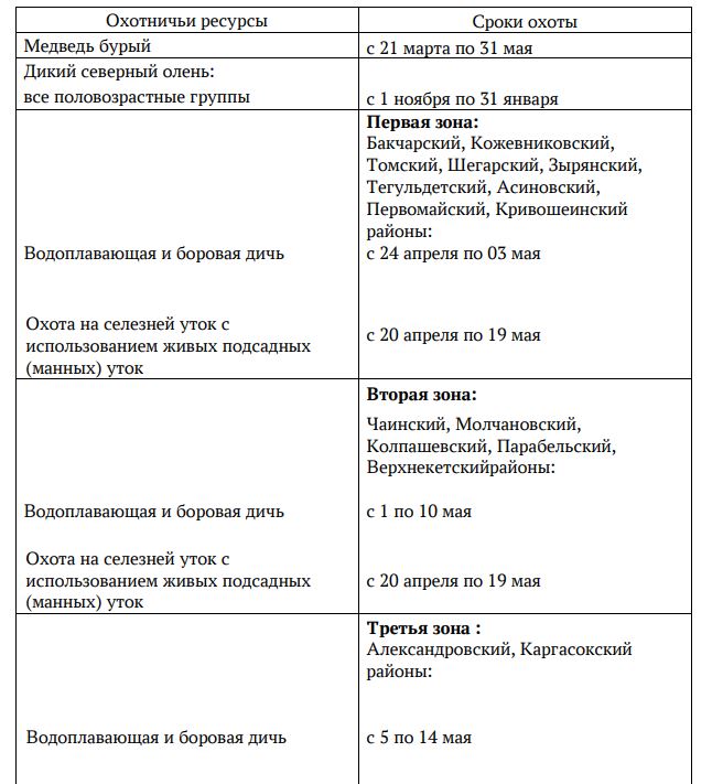 Сроки.JPG