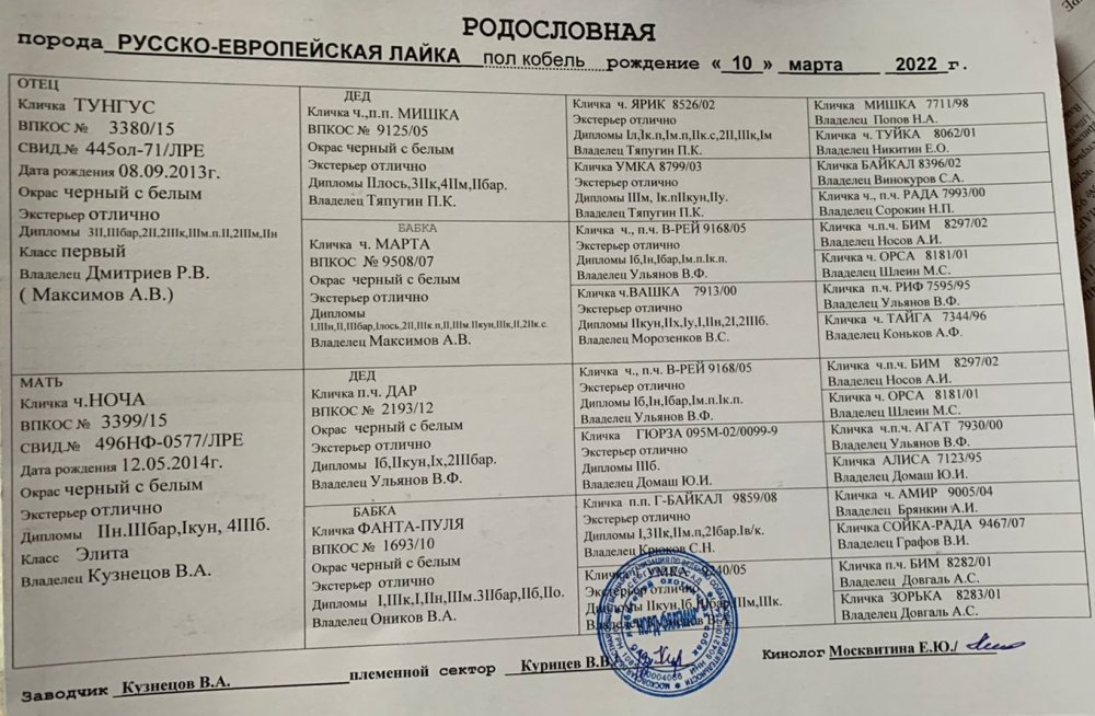 WhatsApp Image 2022-04-13 at 18.08.49.jpeg