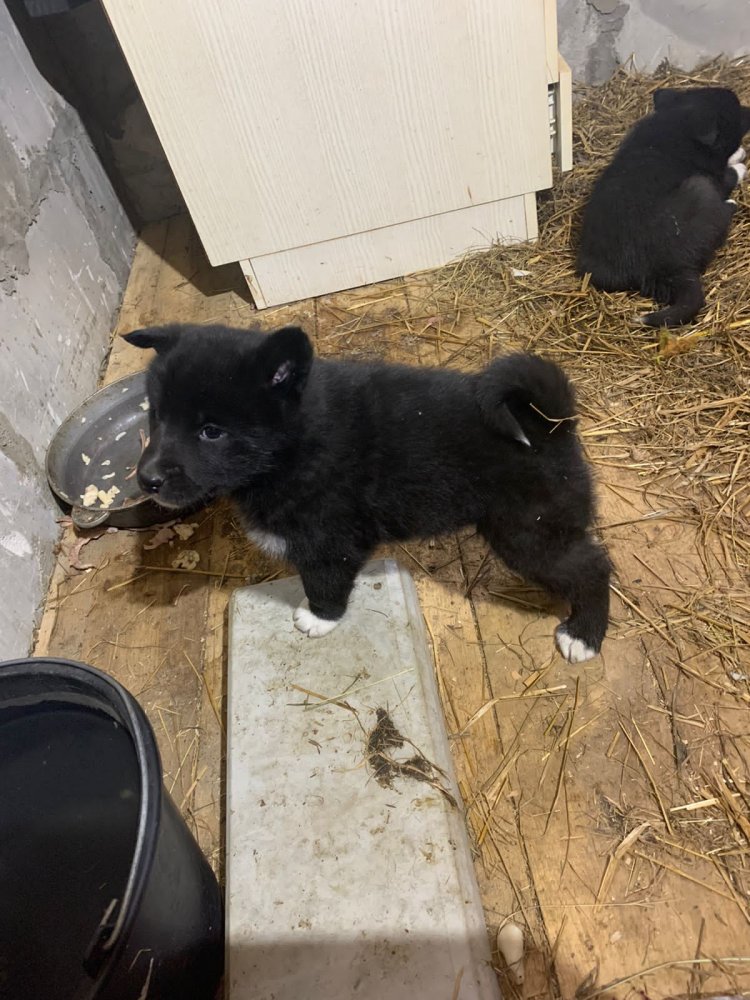 WhatsApp Image 2022-04-15 at 15.39.03.jpeg