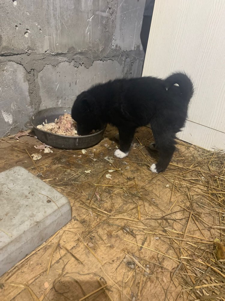 WhatsApp Image 2022-04-15 at 15.39.03 (2).jpeg