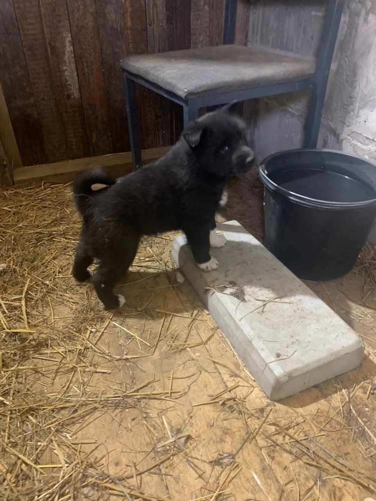 WhatsApp Image 2022-04-15 at 15.39.03 (1).jpeg