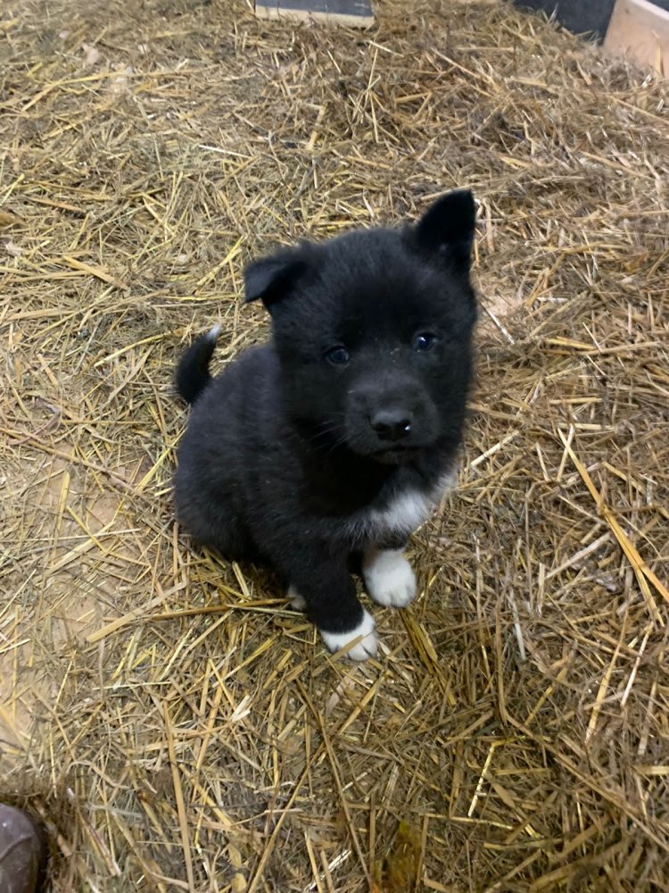 WhatsApp Image 2022-04-15 at 15.39.02.jpeg