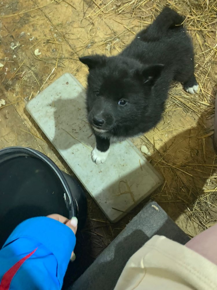 WhatsApp Image 2022-04-15 at 15.39.02 (2).jpeg