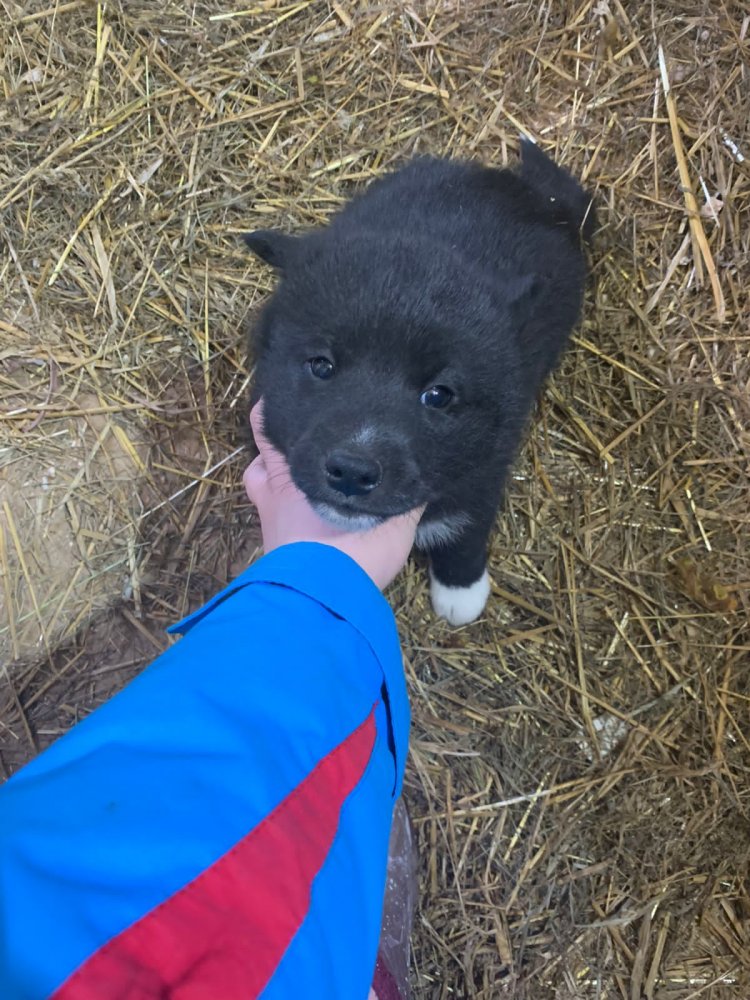 WhatsApp Image 2022-04-15 at 15.39.02 (1).jpeg