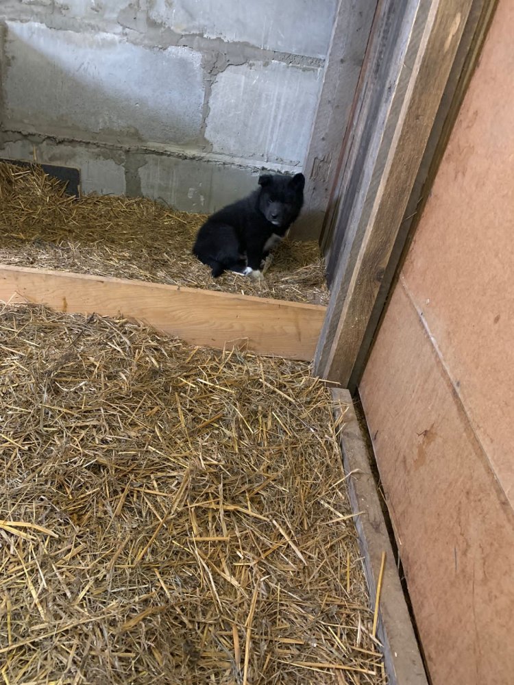 WhatsApp Image 2022-04-15 at 15.39.01.jpeg