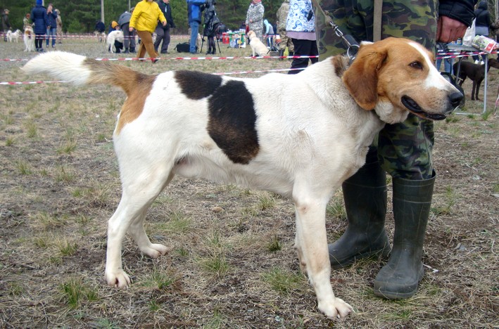 2 рпг Раскат Нечипур фото.JPG
