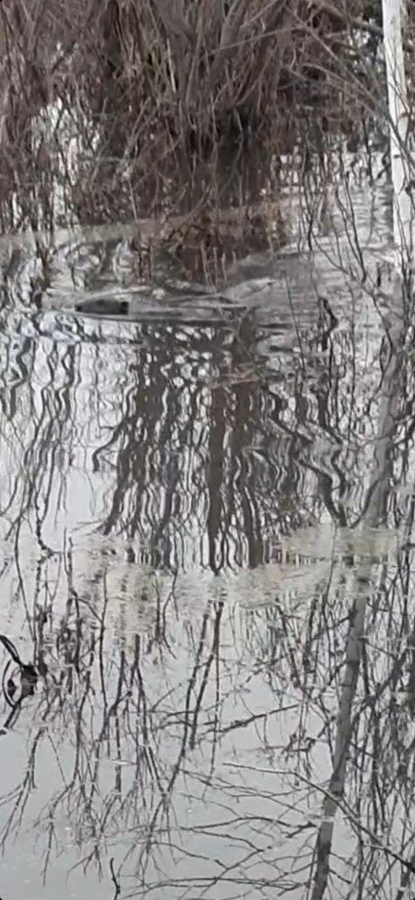 Screenshot_20220427-144114_Gallery.jpg