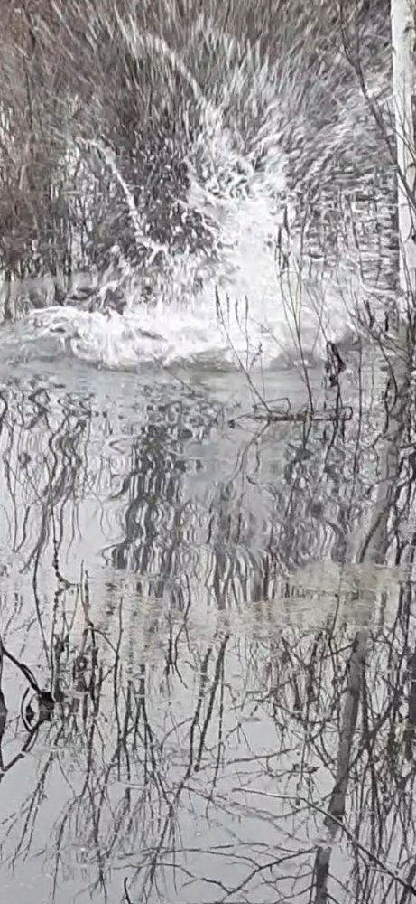 Screenshot_20220427-143924_Video Player.jpg