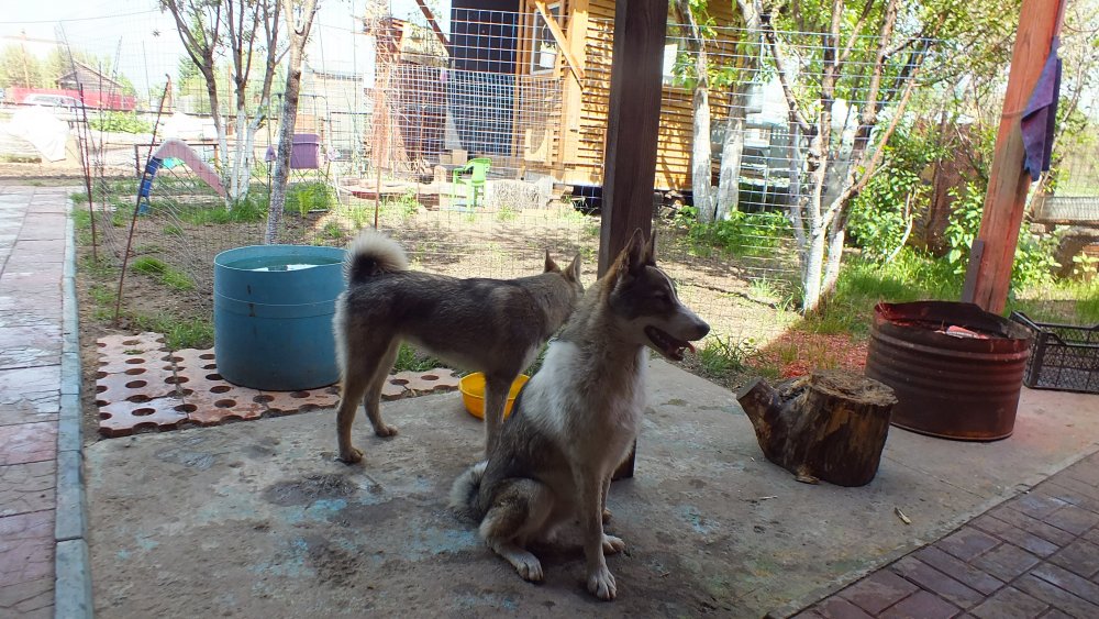 DSCF2642.JPG