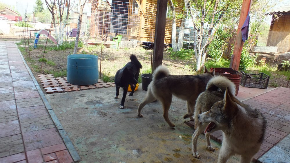 DSCF2641.JPG