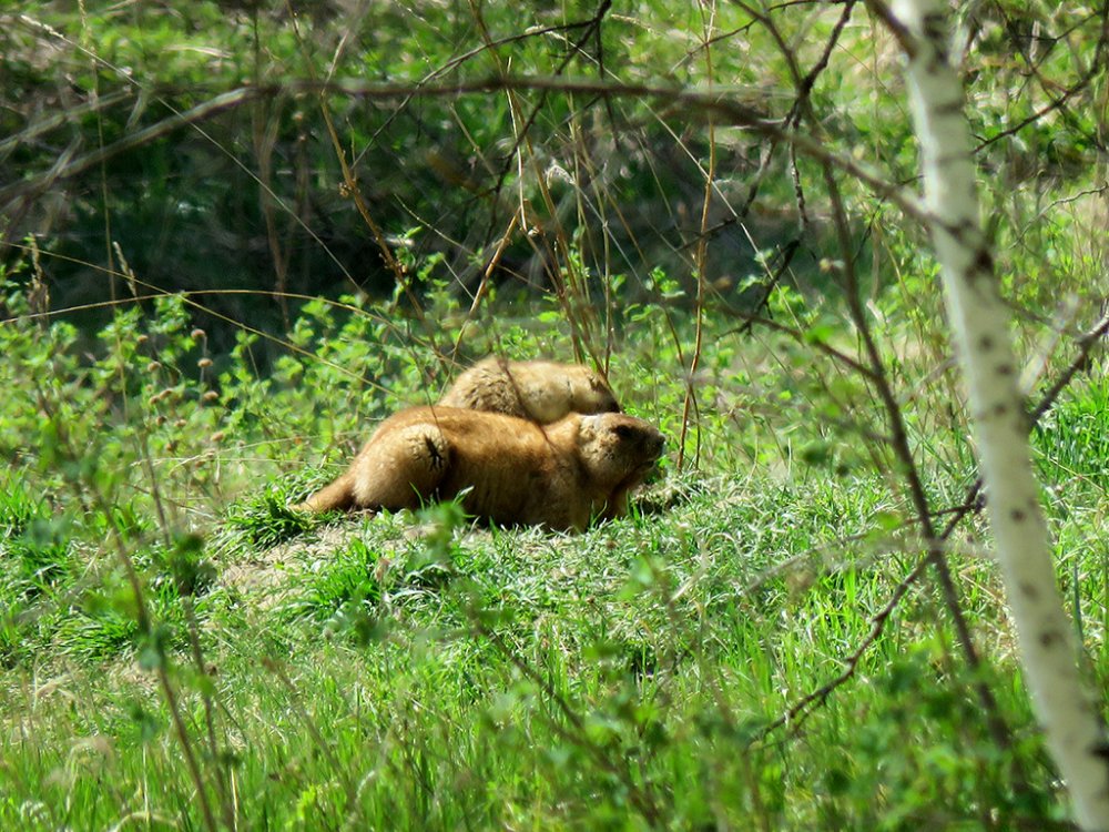 IMG_4809.jpg