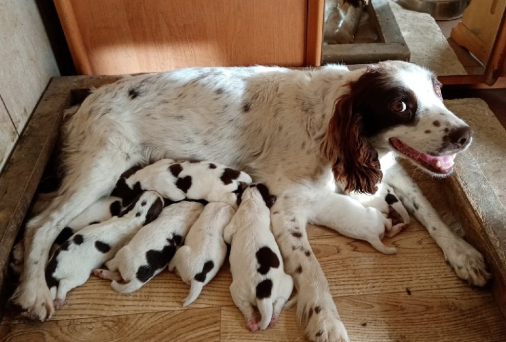 Фрося 2022 2.jpg